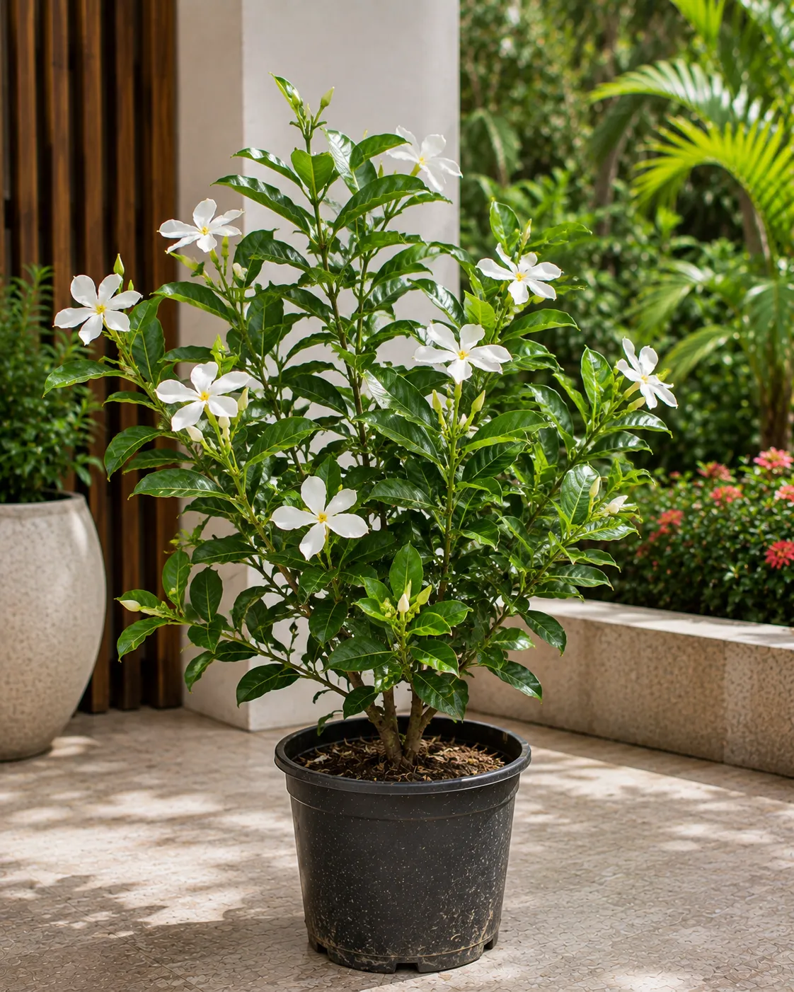 Nanthiya Vattai